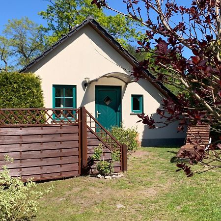 „Rentmeisterhaus Basedow“ Basedow  Екстер'єр фото