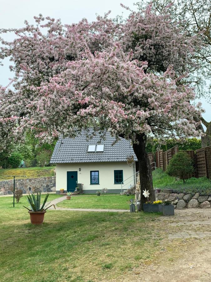 „Rentmeisterhaus Basedow“ Basedow  Екстер'єр фото